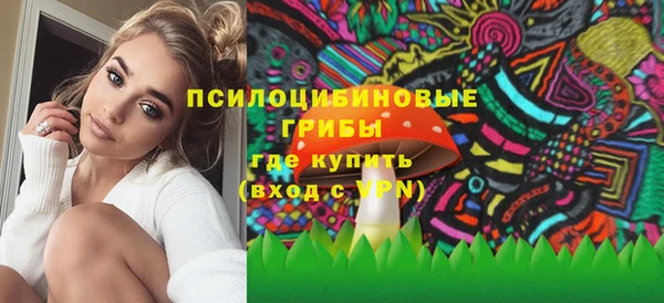 ПСИЛОЦИБИНОВЫЕ ГРИБЫ Алексеевка