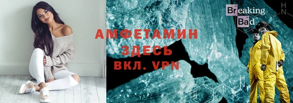 мет Алексин
