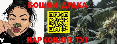 МДПВ Бердск
