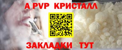 МДПВ Бердск