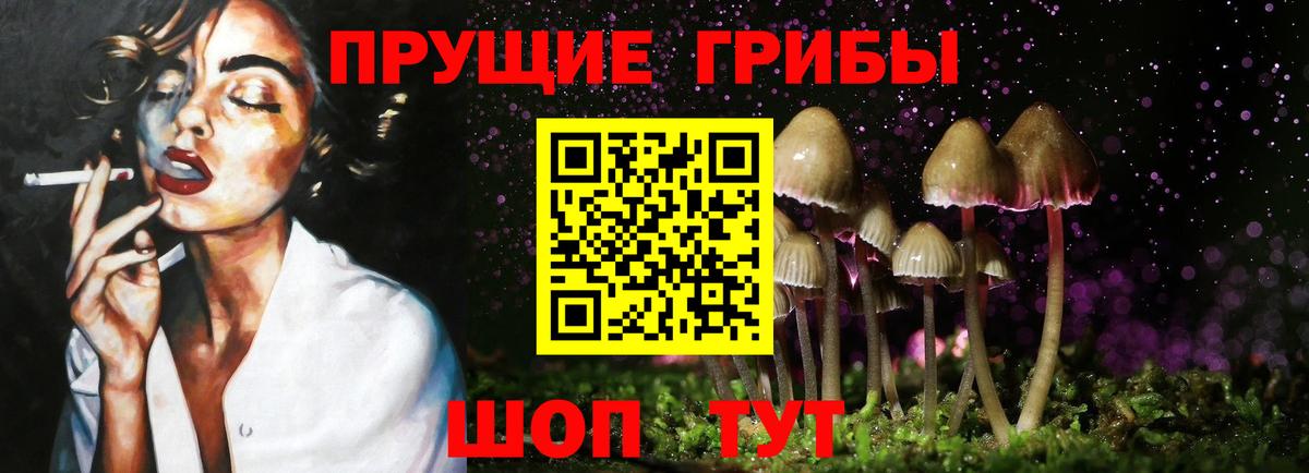 Псилоцибиновые грибы мицелий Ачинск